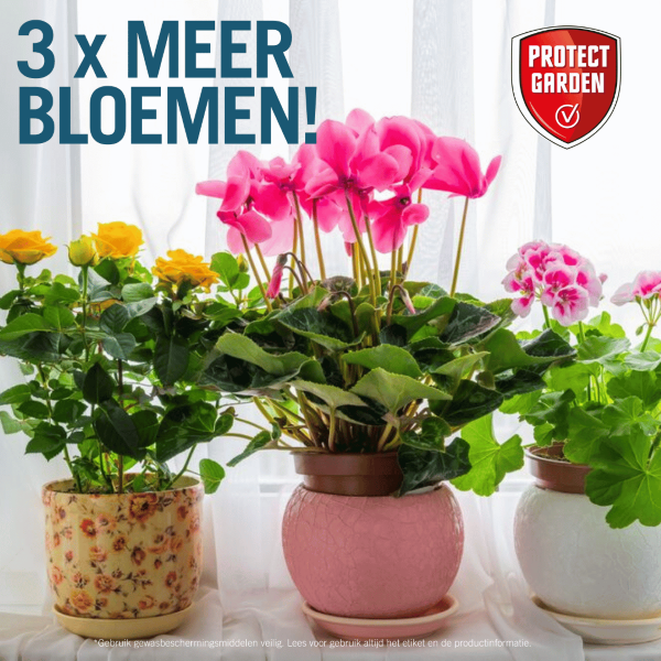 Protect Garden Insecten bestrijding | Protect Garden | Sanium | 20 stuks (Sticks, Bladinsecten) 86600695 K170501398 - 5