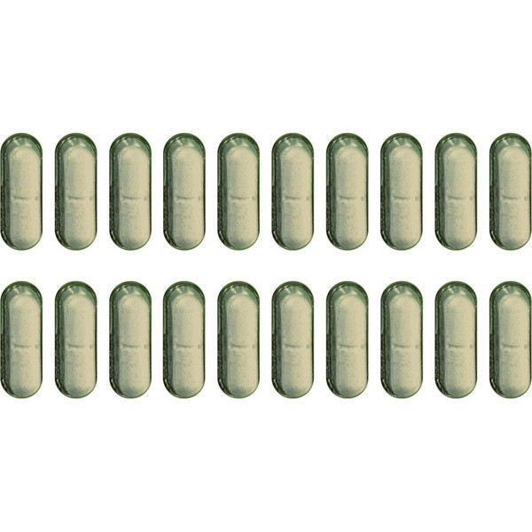 Protect Garden Insecten bestrijding | Protect Garden | Sanium | 20 stuks (Sticks, Bladinsecten) 86600695 K170501398 - 4