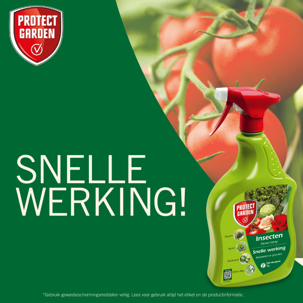 Protect Garden Insectenspray | Protect Garden | 1 liter | 3 stuks (Hardnekkige insecten)  V170115075 - 4