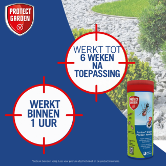 Protect Garden Kakkerlakken bestrijding | Protect Garden | Fastion Insect | 400 gram (Poeder, Buiten)  B170116283 - 5