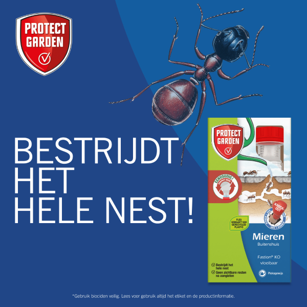 Protect Garden Mieren bestrijding | Protect Garden | 250 ml | 3 stuks (Concentraat, Buiten)  V170111874 - 6