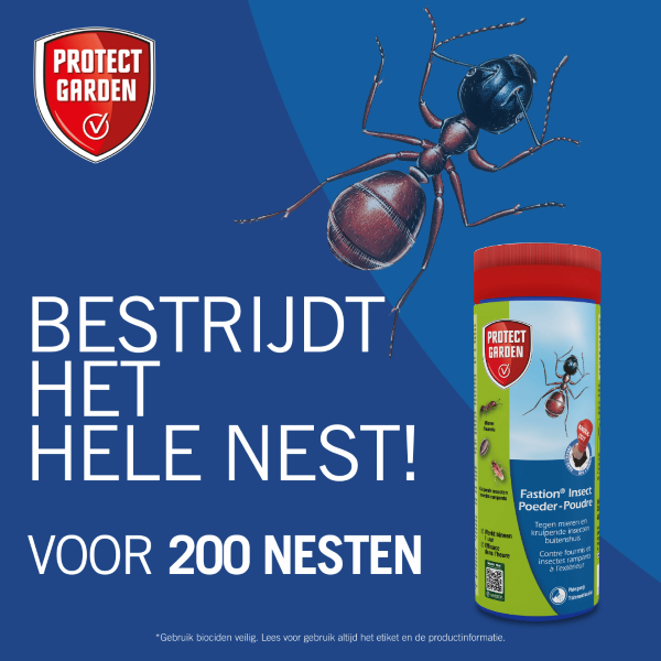 Protect Garden Mieren bestrijding | Protect Garden | Fastion Insect | 250 gram (Poeder, Buiten) 86600080 A170116284 - 4
