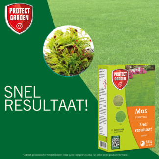 Protect Garden Mos verwijderaar gazon | Protect Garden | 35 m² (Strooidoos, 2.8 kg) 86601826 K170115816 - 6