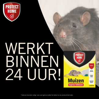 Protect Garden Muizen lokdoos | Protect Home | Pasta | 4 lokdozen (Inclusief lokstof, Snelwerkend) 86600157 V170115104 - 10