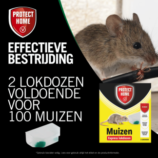 Protect Garden Muizen lokdoos | Protect Home | Pasta | 4 lokdozen (Inclusief lokstof, Snelwerkend) 86600157 V170115104 - 6