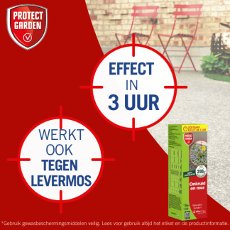 Protect Garden Onkruidverdelger en mos verwijderaar | Flitser | Protect Garden | 35 m² (Natuurlijk, Concentraat, 255 ml, 4 stuks)  V170115602 - 7