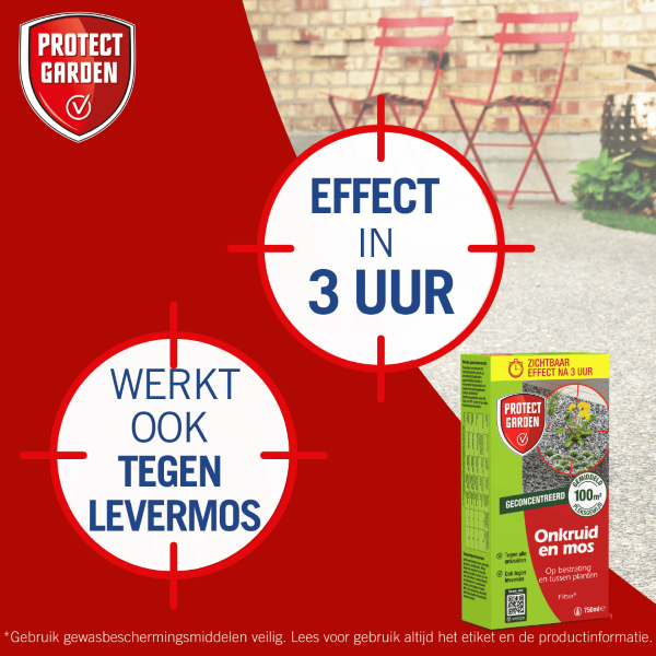 Protect Garden Onkruidverdelger en mos verwijderaar | Protect Garden | 100m² (Concentraat, 750 ml) 86601200 K170115604 - 8