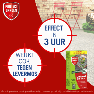 Protect Garden Onkruidverdelger en mos verwijderaar | Protect Garden | 100m² (Concentraat, 750 ml) 86601200 K170115604 - 8