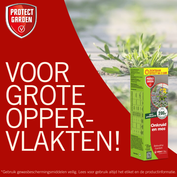 Protect Garden Onkruidverdelger en mos verwijderaar | Protect Garden | 200 m² (Natuurlijk, Concentraat, 450 ml) 86601080 K170505220 - 6