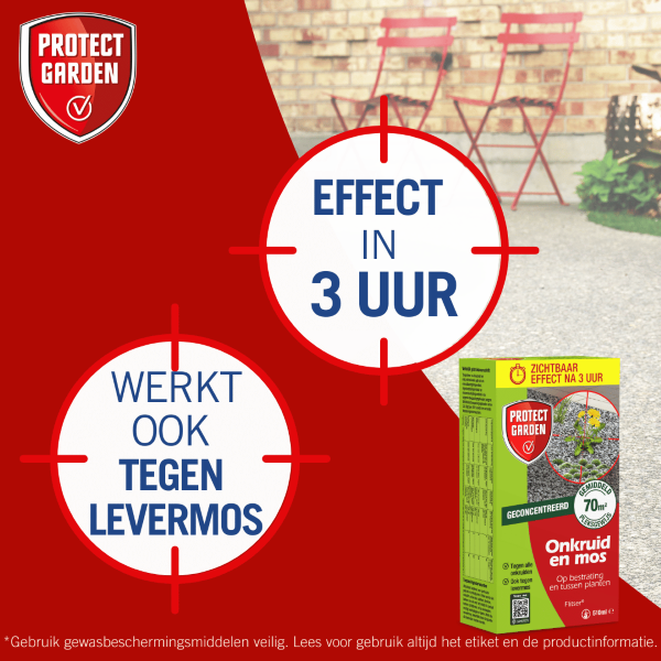 Protect Garden Onkruidverdelger en mos verwijderaar | Protect Garden | 70 m² (Concentraat, 510 ml) 86601199 K170115603 - 8