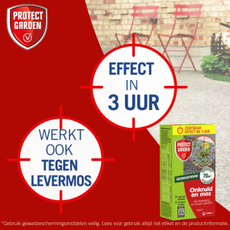 Protect Garden Onkruidverdelger en mos verwijderaar | Protect Garden | 70 m² (Concentraat, 510 ml) 86601199 K170115603 - 8