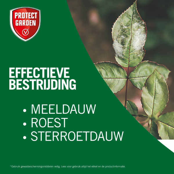 Protect Garden Rosacur | Protect Garden | 50 ml (Concentraat, Tegen schimmels en ziekten) 84926361 K170115076 - 10