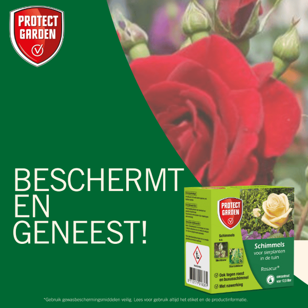 Protect Garden Rosacur | Protect Garden | 50 ml (Concentraat, Tegen schimmels en ziekten) 84926361 K170115076 - 6