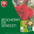 Protect Garden Rosacur | Protect Garden | 50 ml (Concentraat, Tegen schimmels en ziekten) 84926361 K170115076 - 6