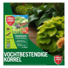 Protect Garden Slakkenkorrels | Protect Garden | 250 gram (500 m²) 86600943 K170501498 - 8