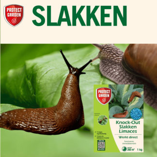 Protect Garden Slakkenkorrels | Protect Garden | Knock-Out | 1 kg (260 m²)  K170116292 - 6