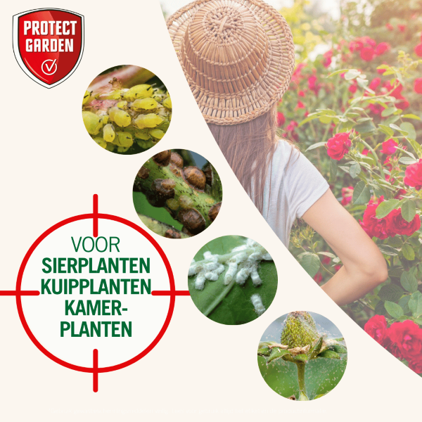 Protect Garden Spint bestrijding | Protect Garden | 100 ml (Concentraat, Natria) 84914800 86601750 B170115096 - 9