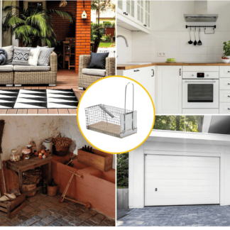 Protect Home Diervriendelijke muizenval | Protect Home 86601226 K170505192 - 2