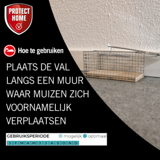Protect Home Diervriendelijke muizenval | Protect Home 86601226 K170505192 - 3
