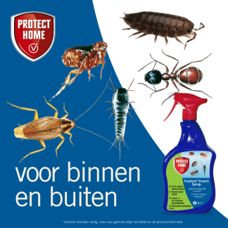 Protect Home Kruipende insecten spray | Protect Home | Fastion Insect | 1 liter (Gebruiksklaar)  K170116285 - 4