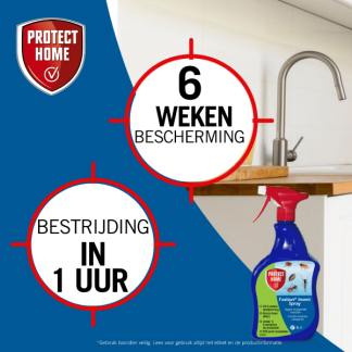 Protect Home Kruipende insecten spray | Protect Home | Fastion Insect | 1 liter (Gebruiksklaar)  K170116285 - 5