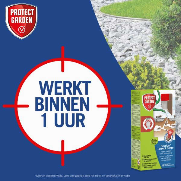 Protect Home Mieren bestijding | Protect Home | Fastion Insect Forte | 250 ml (Concentraat, Buiten)  K170116291 - 7
