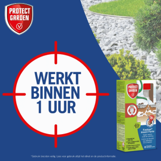 Protect Home Mieren  bestijding | Protect Home | Fastion Insect Forte | 250 ml (Concentraat, Buiten)  K170116291 - 7