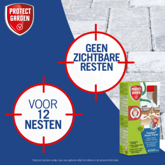 Protect Home Mieren  bestijding | Protect Home | Fastion Insect Forte | 250 ml (Concentraat, Buiten)  K170116291 - 8