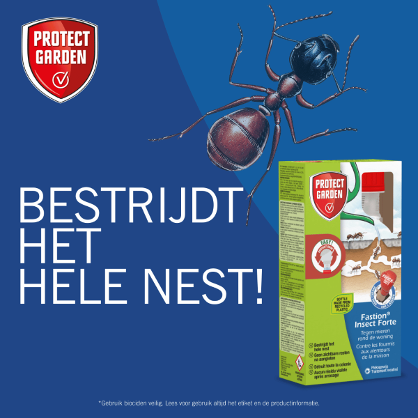 Protect Home Mieren bestijding | Protect Home | Fastion Insect Forte | 250 ml (Concentraat, Buiten)  K170116291 - 6