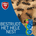 Protect Home Mierenlokdoos | Protect Home | 2 stuks 80219822 K170116142 - 3