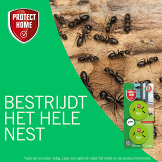 Protect Home Mierenlokdoos | Protect Home | 2 stuks 86601828 K170115832 - 2