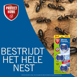 Protect Home Mierenlokdoos | Protect Home | 3 stuks  K170116290 - 4