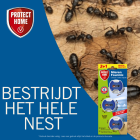 Protect Home Mierenlokdoos | Protect Home | 3 stuks  K170116290 - 4