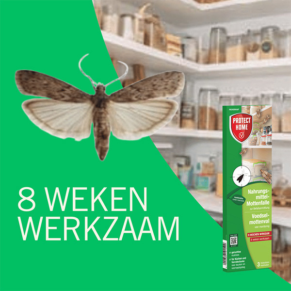 Protect Home Mottenval | Protect Home | Voedselmot | 3 stuks 81679224 K170115837 - 5