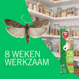 Protect Home Mottenval | Protect Home | Voedselmot | 3 stuks 81679224 K170115837 - 2
