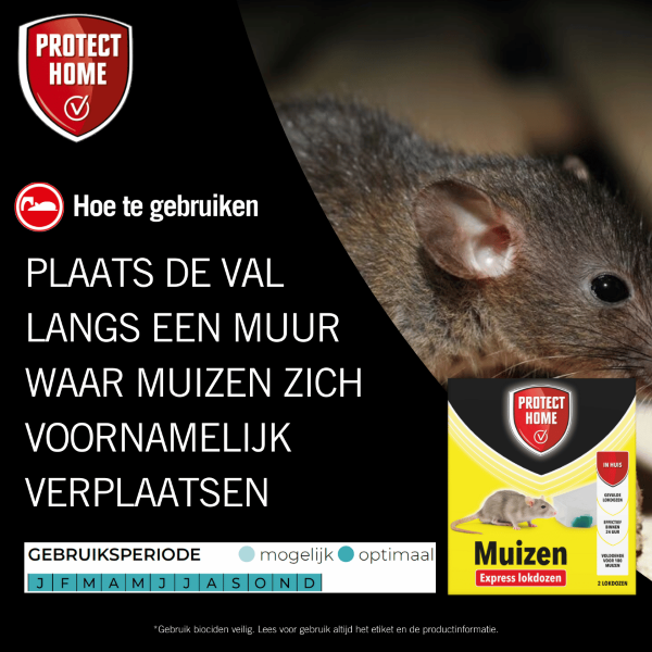 Protect Home Muizengif | Protect Home | Pasta | 2 stuks (10 gram, Snelwerkend, Inclusief lokdoos) 2411422 A170115104 - 7