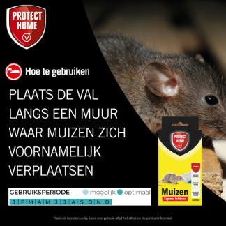 Protect Home Muizengif | Protect Home | Pasta (2 x 5 gram, Snelwerkend, Inclusief lokdoos) 2411421 A170115103 - 8