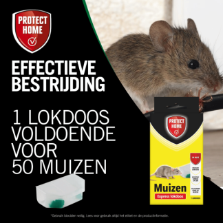 Protect Home Muizengif | Protect Home | Pasta (2 x 5 gram, Snelwerkend, Inclusief lokdoos) 2411421 A170115103 - 7