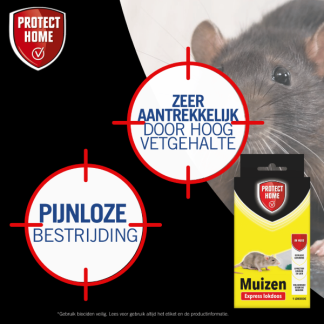 Protect Home Muizengif | Protect Home | Pasta (2 x 5 gram, Snelwerkend, Inclusief lokdoos) 2411421 A170115103 - 9
