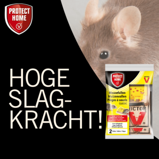 Protect Home Muizenval | Protect Home | Victor Classic | 2 stuks (Hout) 86600778 86601597 K170501401 - 6
