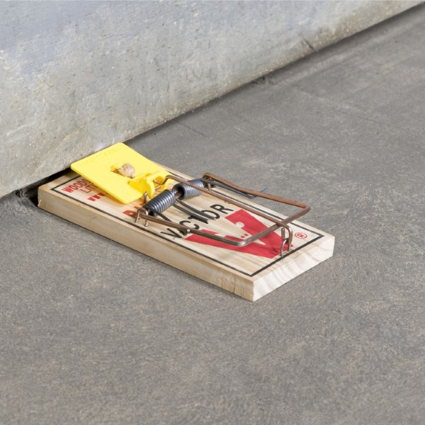 Protect Home Muizenval | Protect Home | Victor Classic | 2 stuks (Hout) 86600778 86601597 K170501401 - 5