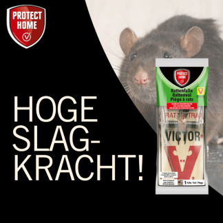 Protect Home Rattenval | Protect Home | Victor Classic (Hout) 86600779 86601594 K170501404 - 4