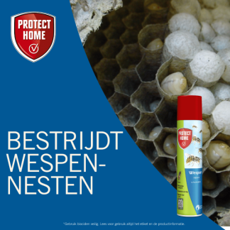 Protect Home Wespen schuimspray | Protect Home | 400 ml (Wespennesten) 79381247 K170111876 - 4