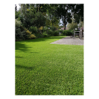 Q-Master Kunstgras Rutland 40 | Q-Master | 2 x 2.5 meter (Poolhoogte 40 mm, 11.550 steken per m²)  K170117043 - 5