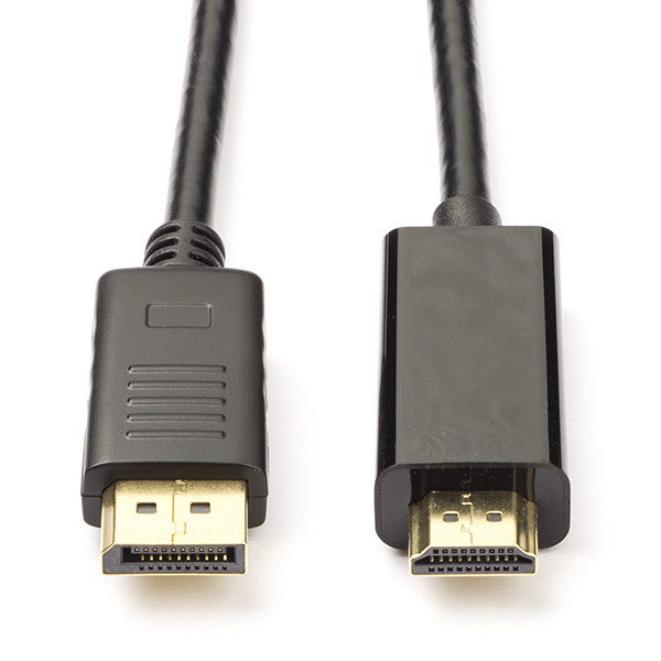 heb vertrouwen Vervagen slang DisplayPort naar HDMI kabel | Roline | 2 meter (4K@60Hz)