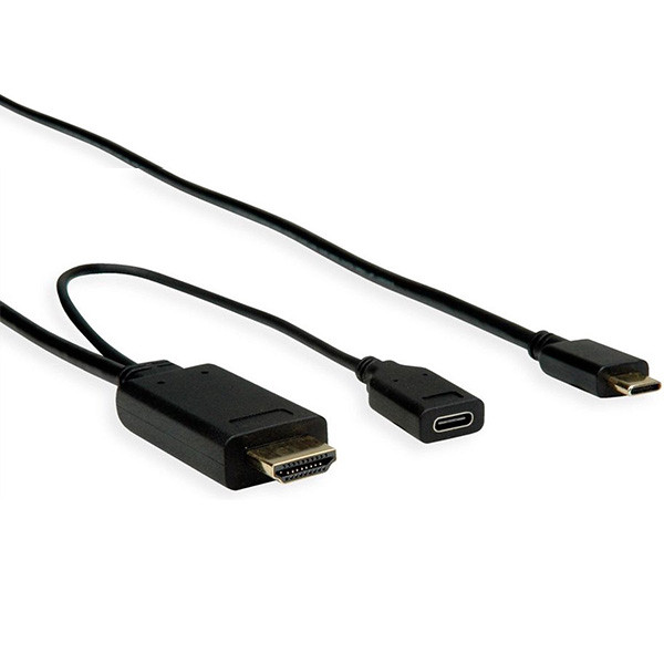 Roline USB C naar HDMI kabel | Roline | 2 meter (4K@60Hz, USB C laadpoort, Verguld) 11045951 K010214130 - 1