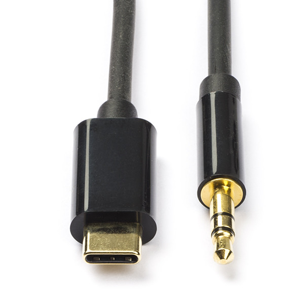 halen Woord puppy USB C naar jack 3.5 mm kabel - Roline - 3 meter (Stereo, Verguld)