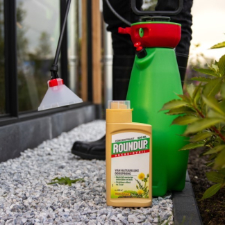 Roundup Onkruidverdelger en mos verwijderaar | Roundup | 285 m² (Natuurlijk, Concentraat, 520 ml) 7202110075 K170115644 - 