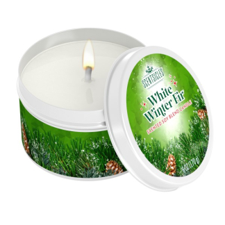 Scentsicles Kerst geurkaars | Scentsicles | 	Ø 8 cm (White Winter Fir, 25 branduren) 31SCWWF K151100204