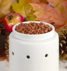 Scentsicles Kerst geurvuller | Scentsicles | Scentfetti (Autumn & Apples) 31SSAA K151100198 - 3